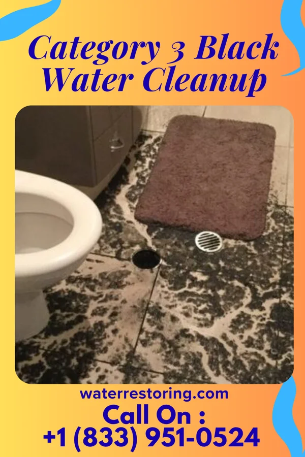 Category 3 Black Water Cleanup in Pilsen, KS